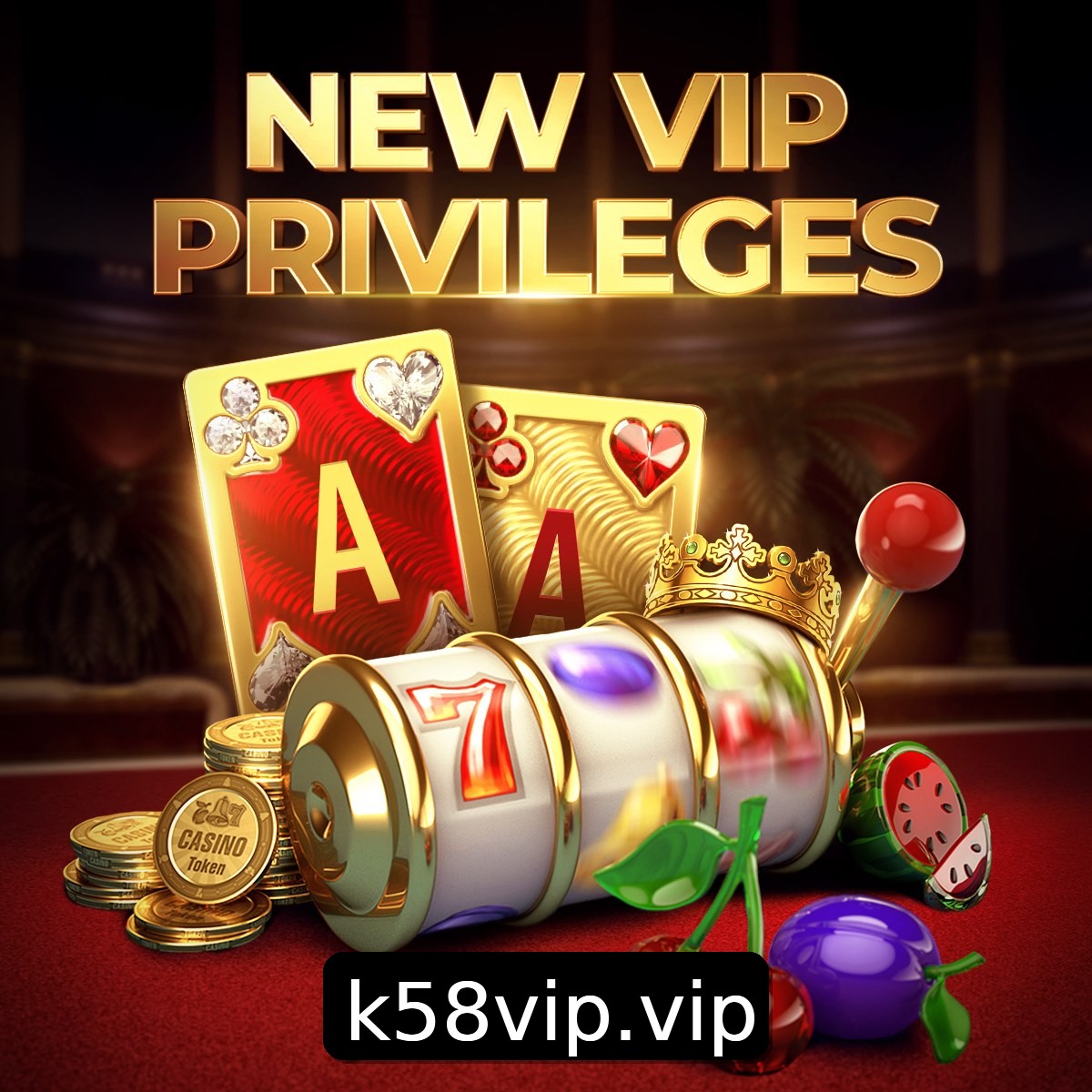 Programa VIP K58